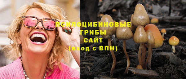 тгк Алзамай